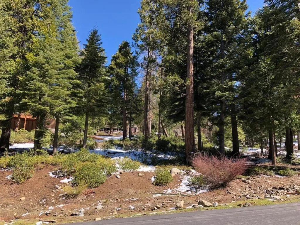 42518 Tourmaline Lane, Shaver Lake, CA — listing photo 1