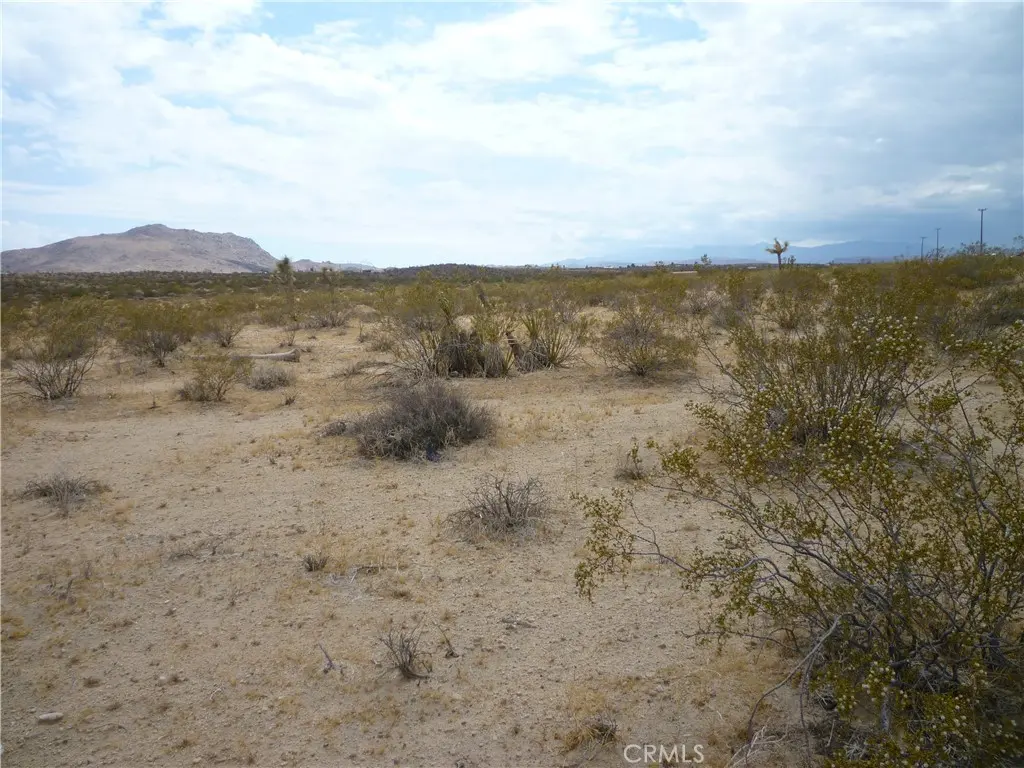 2345 Sunny Sands Drive, Joshua Tree, CA — listing photo 1