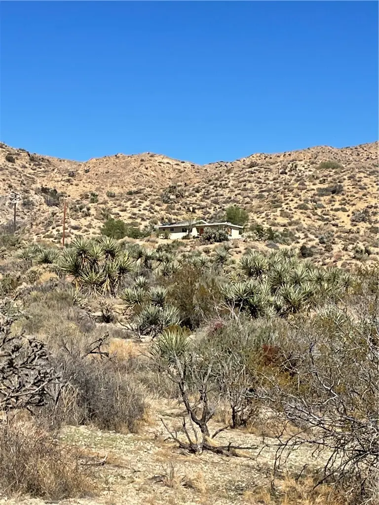 8787 Via La Scala, Morongo Valley, CA — listing photo 1