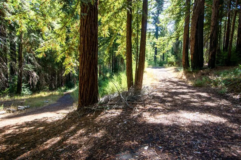 19145 Big Basin Way, Boulder Creek, CA — listing photo 1