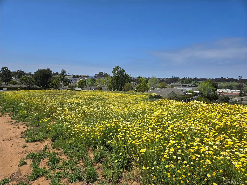 0 Sunny Creek, Carlsbad, CA — listing photo 1