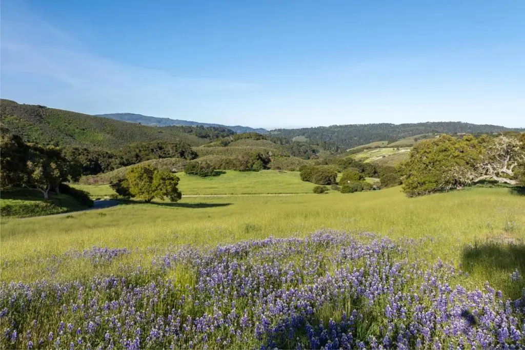 25825 Via Malpaso (Lot 68), Carmel, CA — listing photo 1
