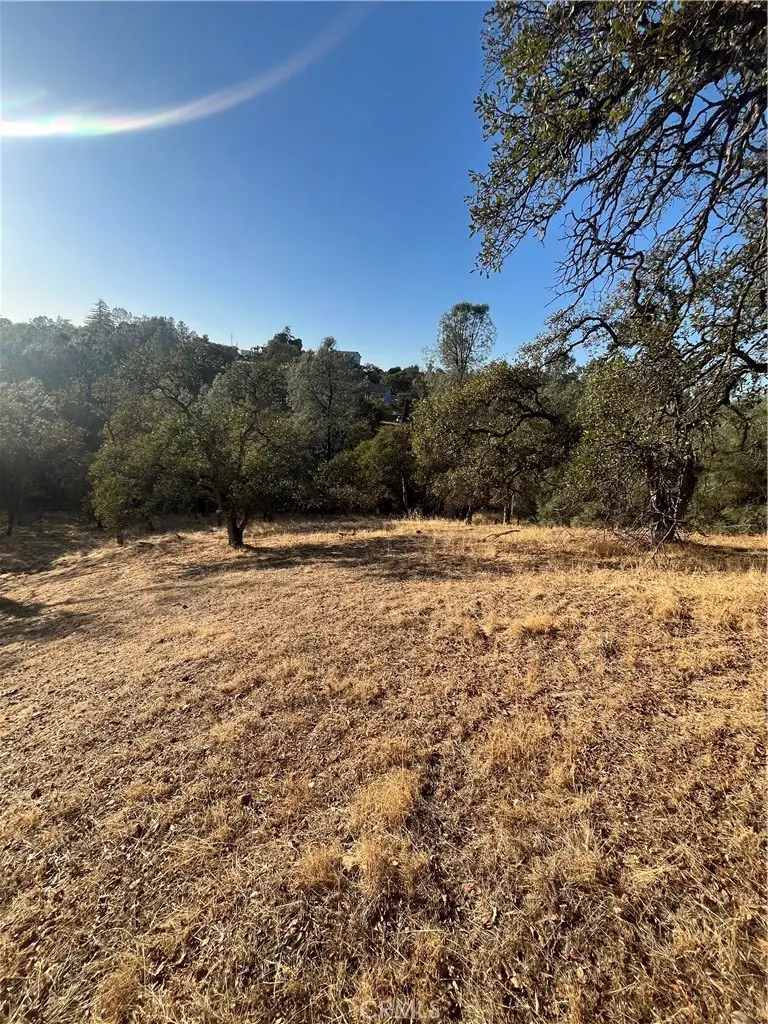 175 Lemon Hill, Oroville, CA — listing photo 1