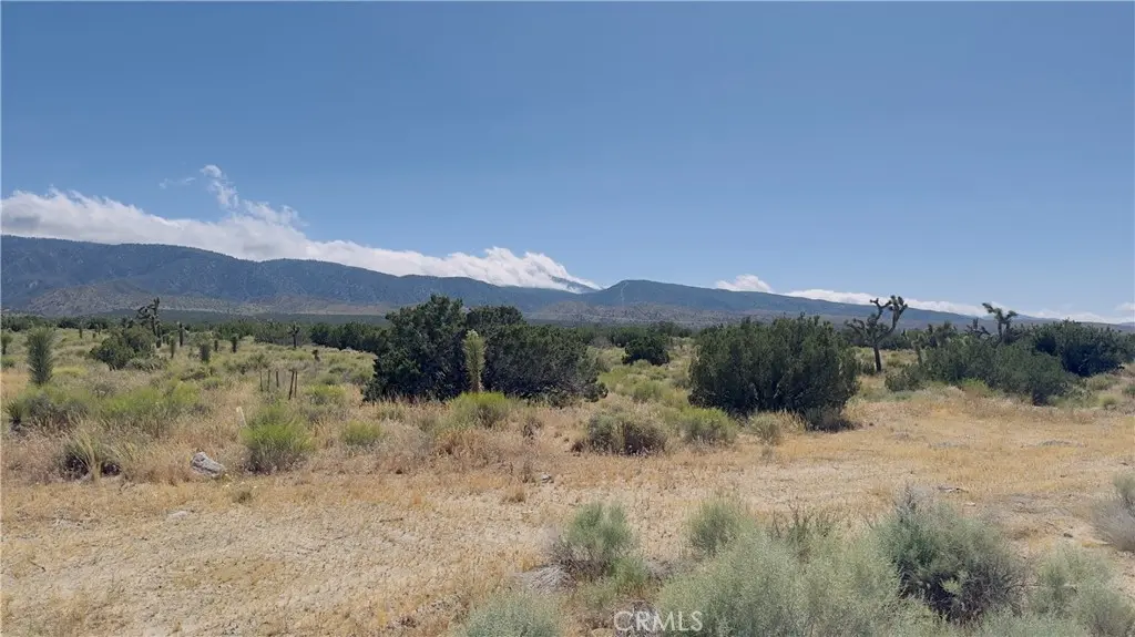 31 Hwy 138, Llano, CA — listing photo 1