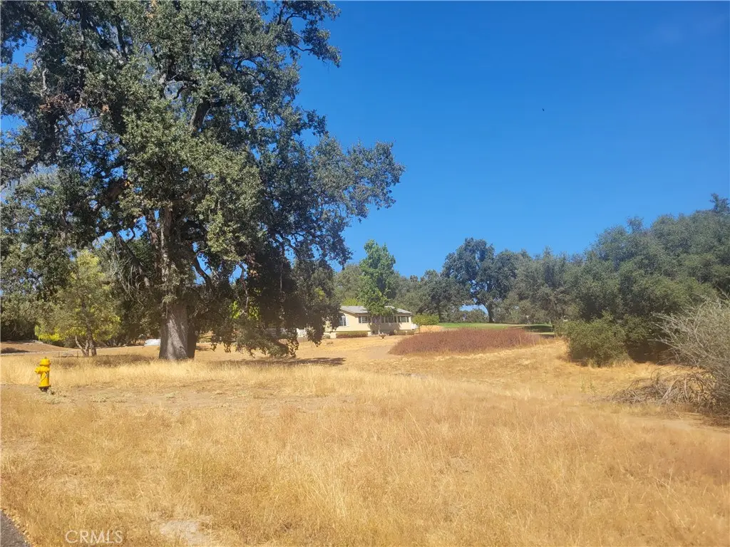 1 Acre Griffin Drive, Oakhurst, CA — listing photo 1