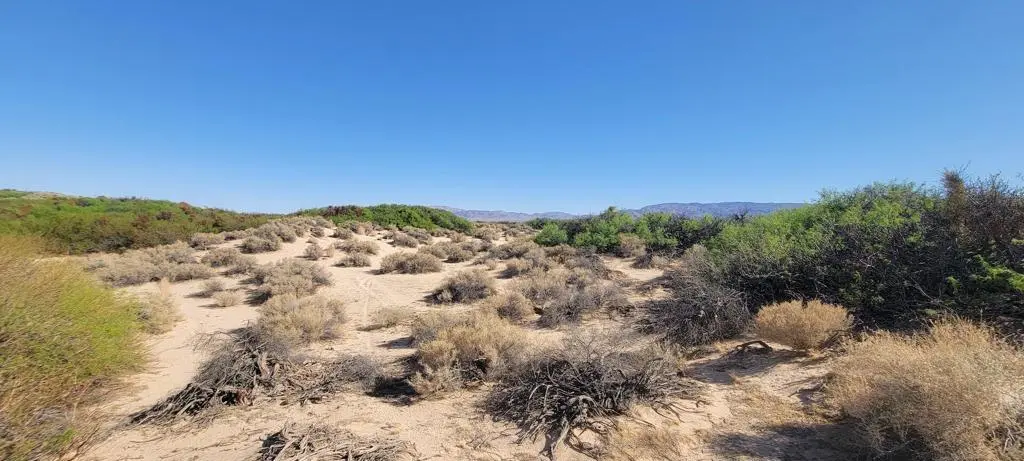 1655 La Buena Tierra Avenue, 29 Palms, CA — listing photo 1
