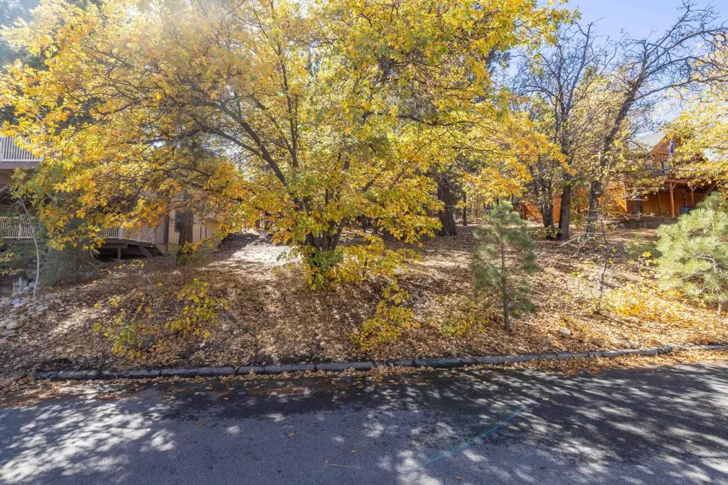 1409 Klamath Road, Big Bear, CA — listing photo 1