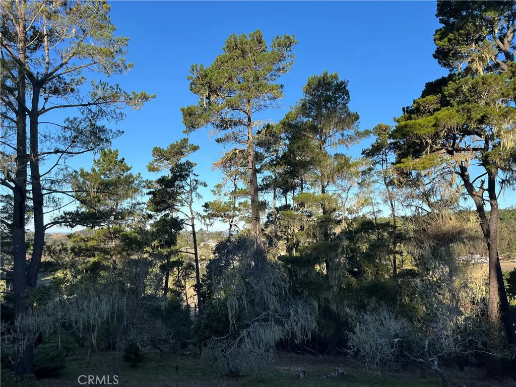 3235 Rogers, Cambria, CA — listing photo 1