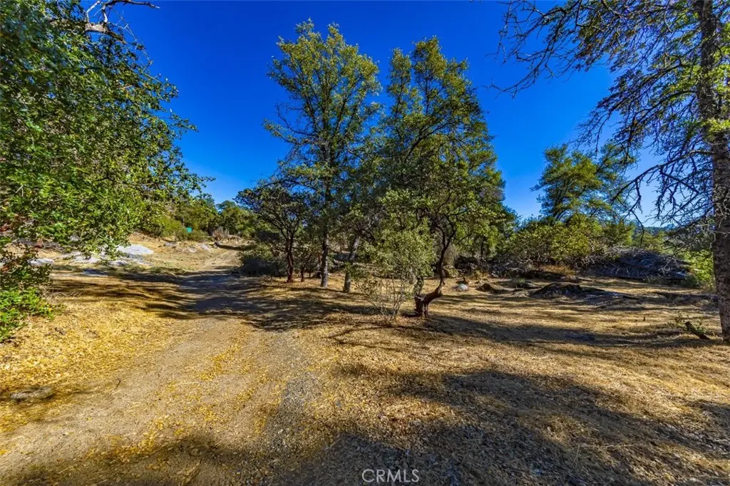 4200 Silver Lane Road, Mariposa, CA — listing photo 1