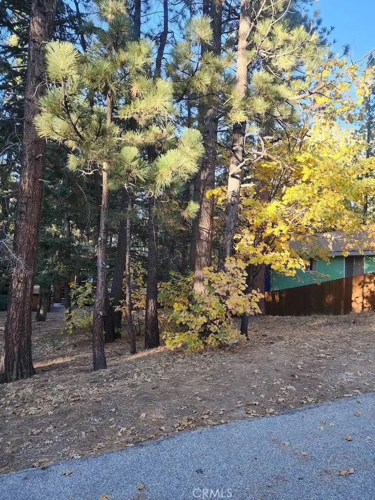 42736 Willow Avenue, Big Bear Lake, CA — listing photo 1