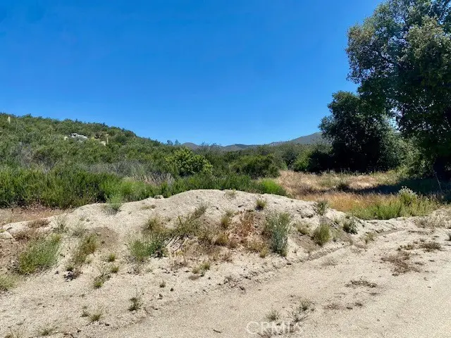 0 Buchanan, Castaic, CA — listing photo 1