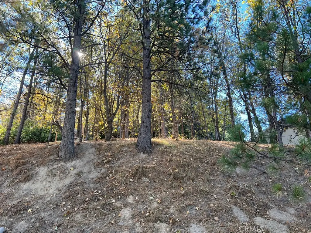 82 Pixie, Running Springs, CA — listing photo 1