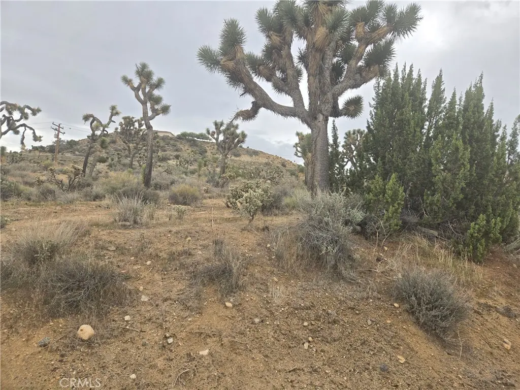 54763 Twentynine Palms Highway, Yucca Valley, CA — listing photo 1