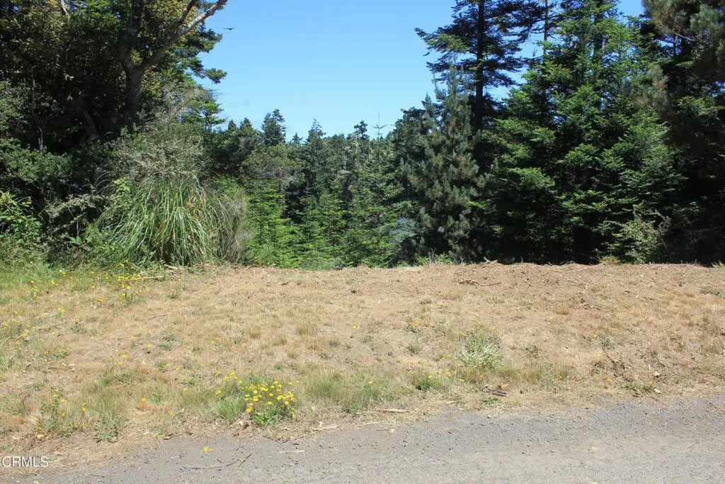 44068 Ocean Vista Court, Mendocino, CA — listing photo 1