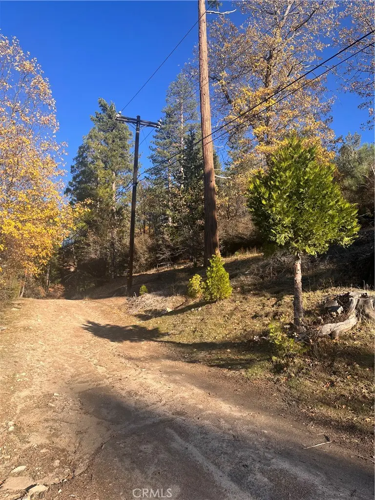 29834 Juniper Drive, Cedar Glen, CA — listing photo 1