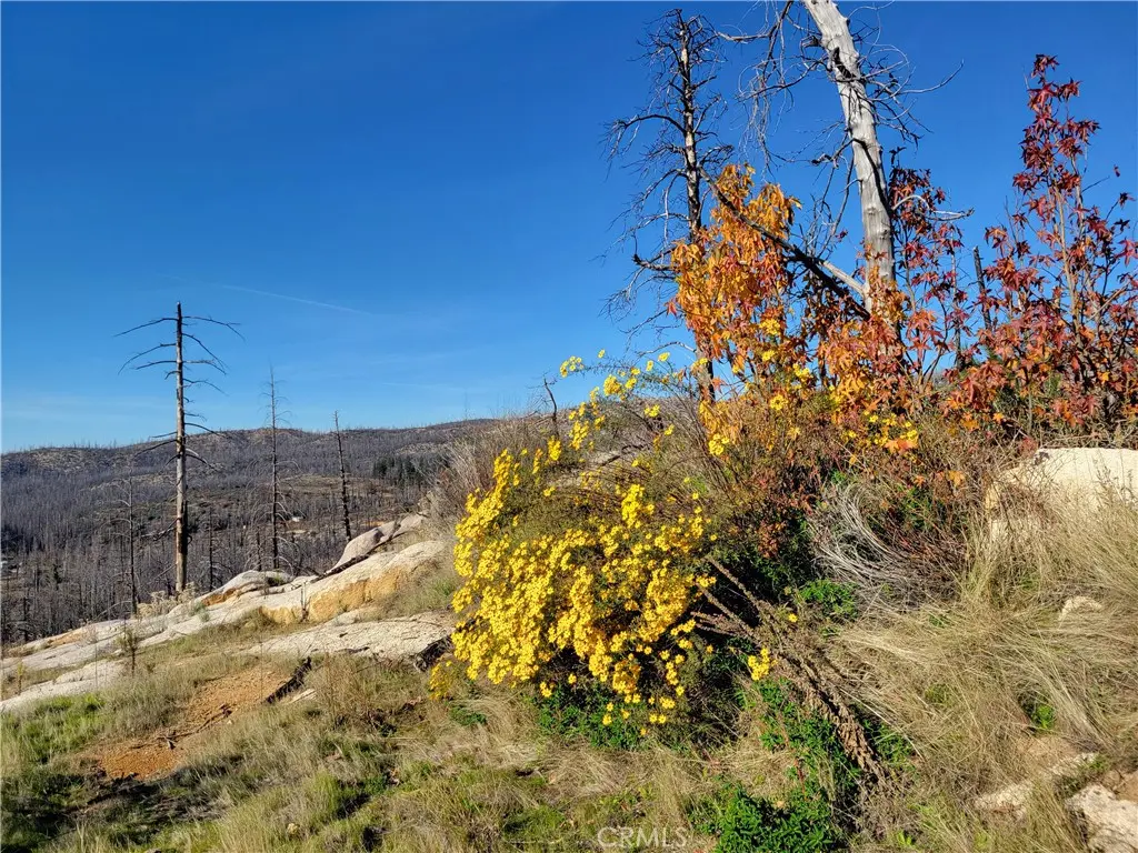 161 Shadow Creek Road, Berry Creek, CA — listing photo 1