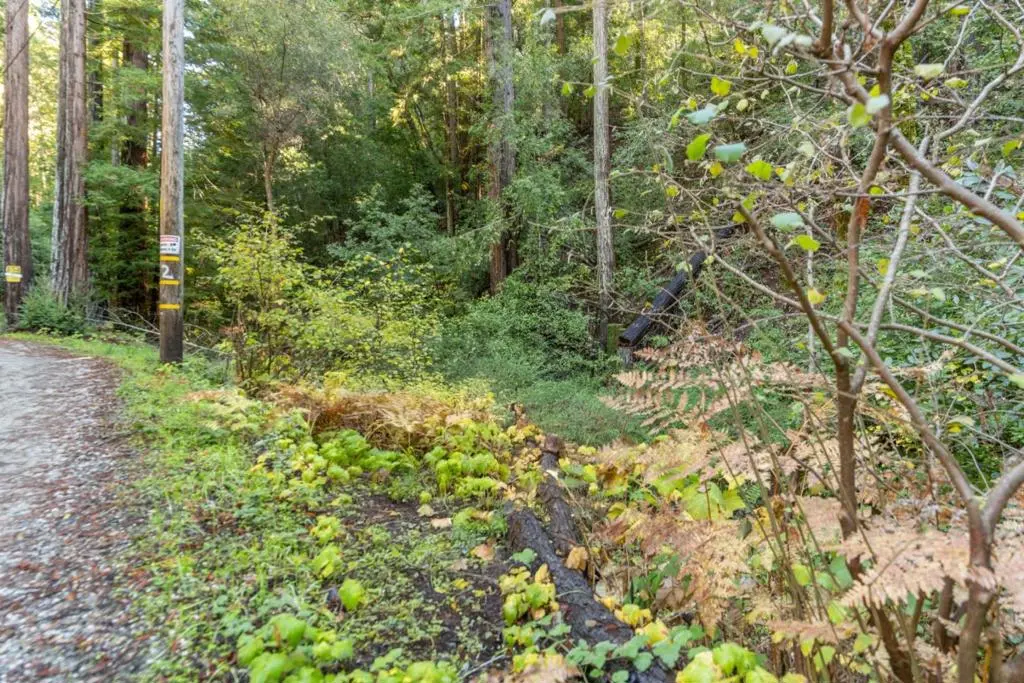 4 Old Mill Avenue, Felton, CA — listing photo 1