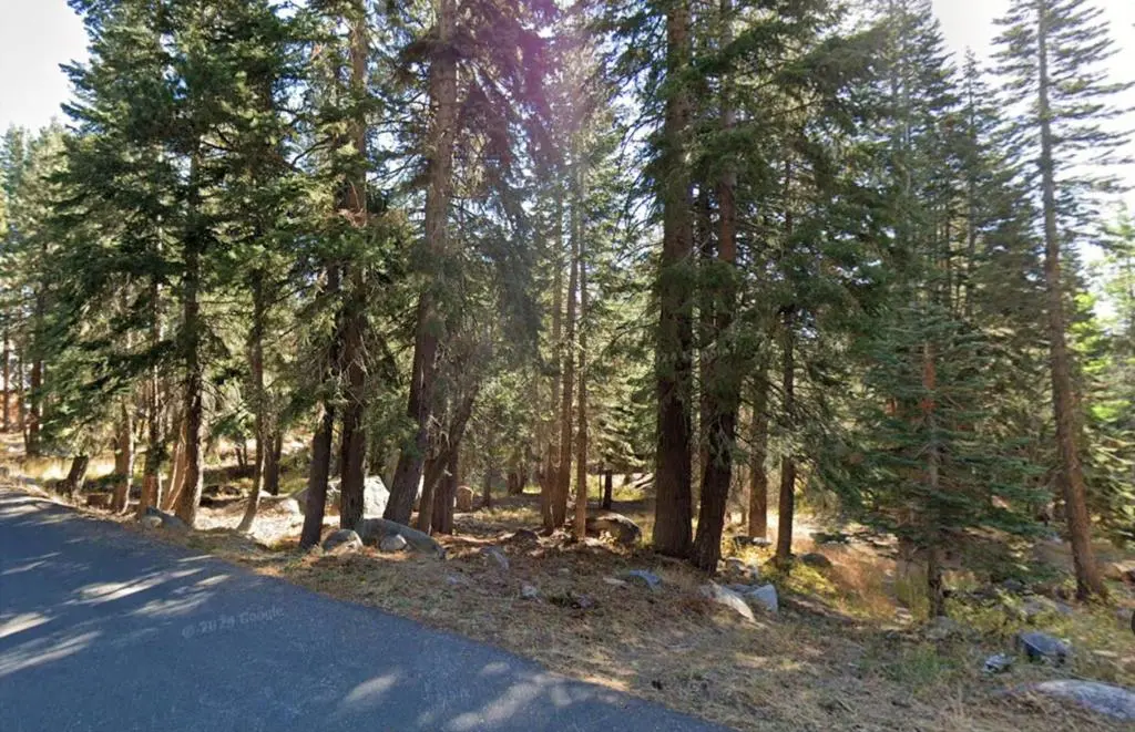 116 John Ebbetts Road, Arnold, CA — listing photo 1