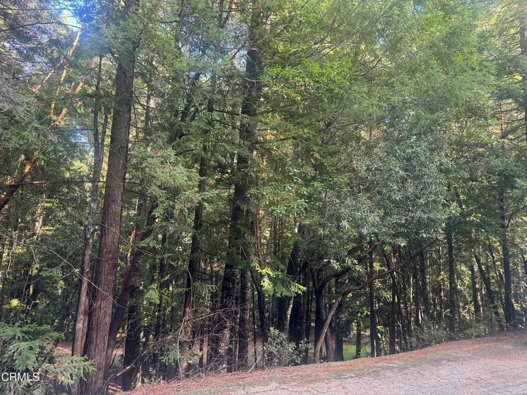 25195 Bluejay Lane, Willits, CA — listing photo 1