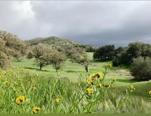 0 Tule Springs Road, Julian, CA — listing photo 1