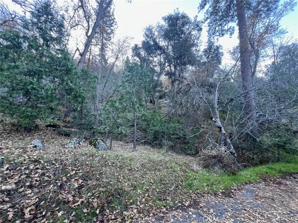 0 Snowy Creek Way, Coarsegold, CA — listing photo 1