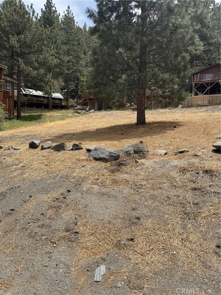 999 Buckthorn Road, Wrightwood, CA — listing photo 1