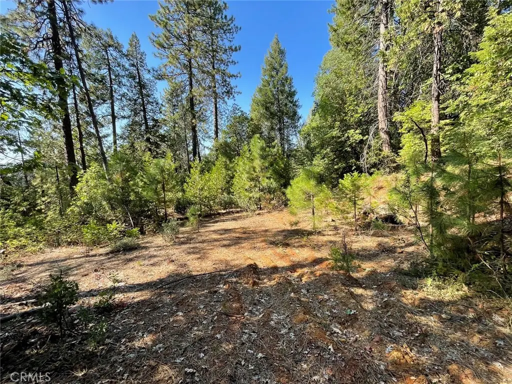0 Forbestown, Challenge, CA — listing photo 1