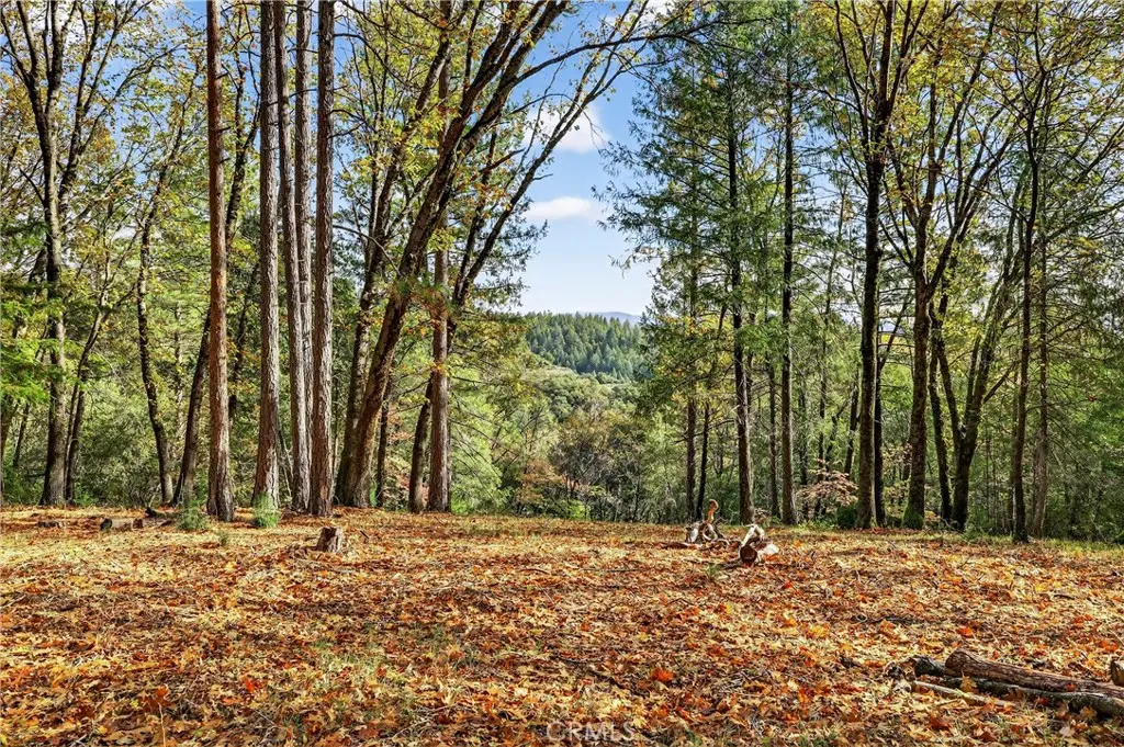 0 Burgundy Lane, Forest Ranch, CA — listing photo 1