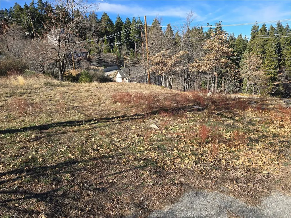 2350 deep creek, Running Springs, CA — listing photo 1