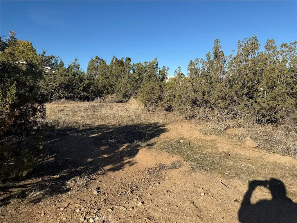 0 Neilson Road, Phelan, CA — listing photo 1
