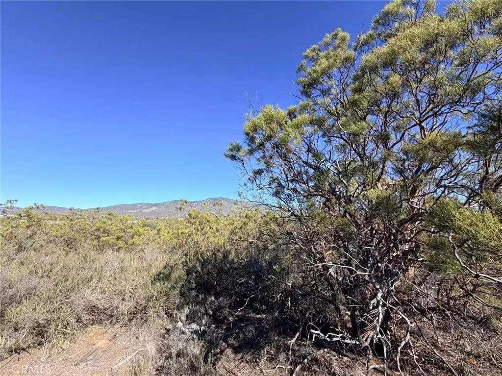 0 Glenda, Anza, CA — listing photo 1