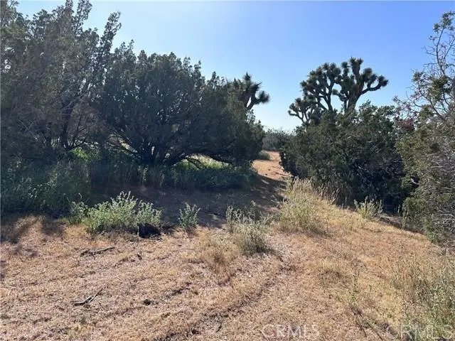 Daisy Road, Oak Hills, CA — listing photo 1