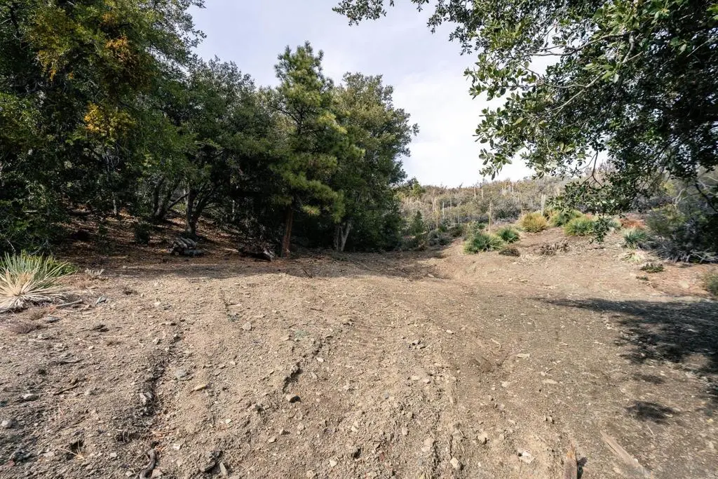 0 Timberline Dr, Wrightwood, CA — listing photo 1
