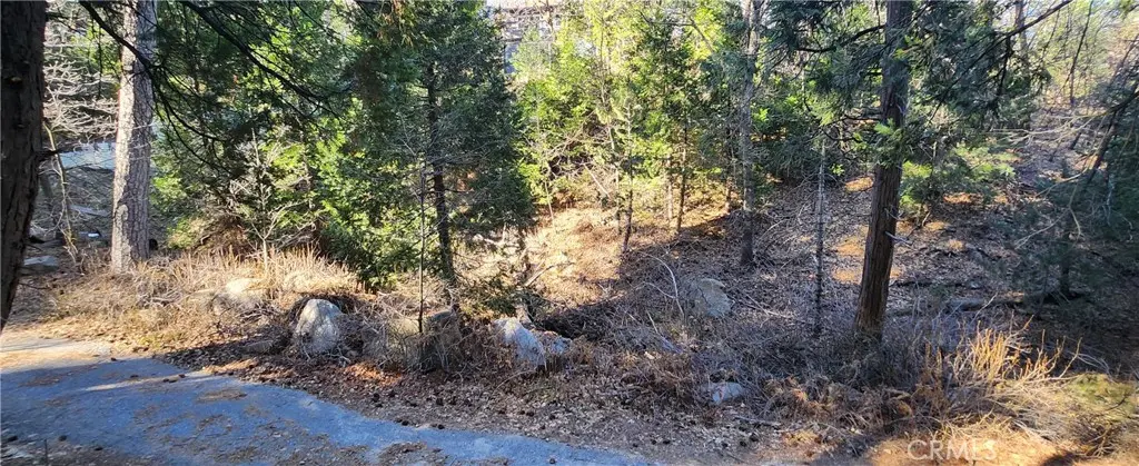 0 MEADOW Drive, Lake Arrowhead, CA — listing photo 1