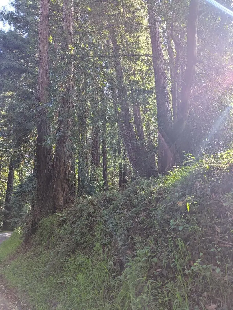 8055 Glen Haven Road, Soquel, CA — listing photo 1