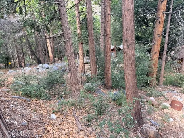 40904 Spruce, Forest Falls, CA — listing photo 1