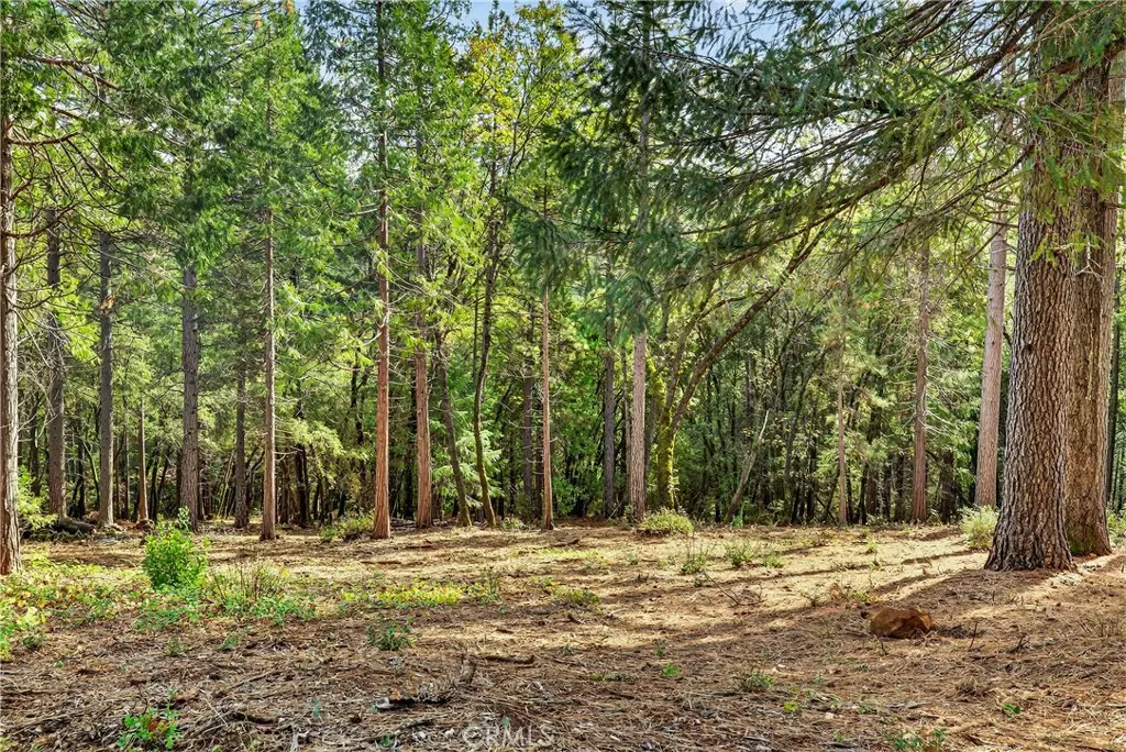 0 Cedar Creek, Forest Ranch, CA — listing photo 1