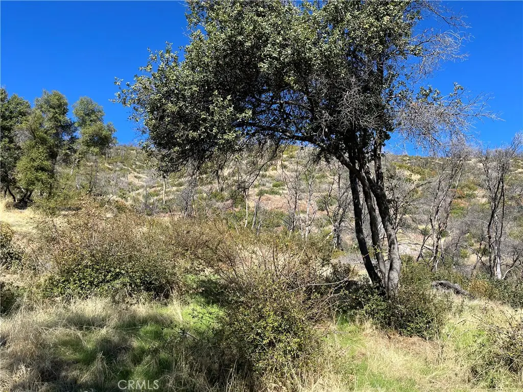 0 Triangle Road, Mariposa, CA — listing photo 1