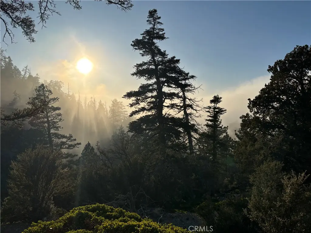 0 Ironwood, Angelus Oaks, CA — listing photo 1