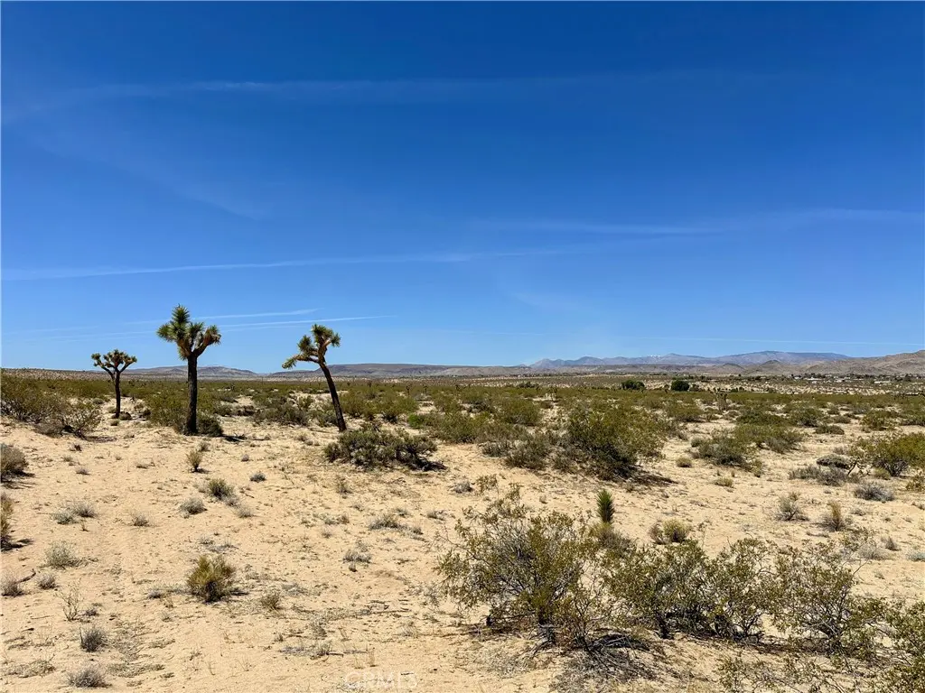 0 Amargo Road, Landers, CA — listing photo 1