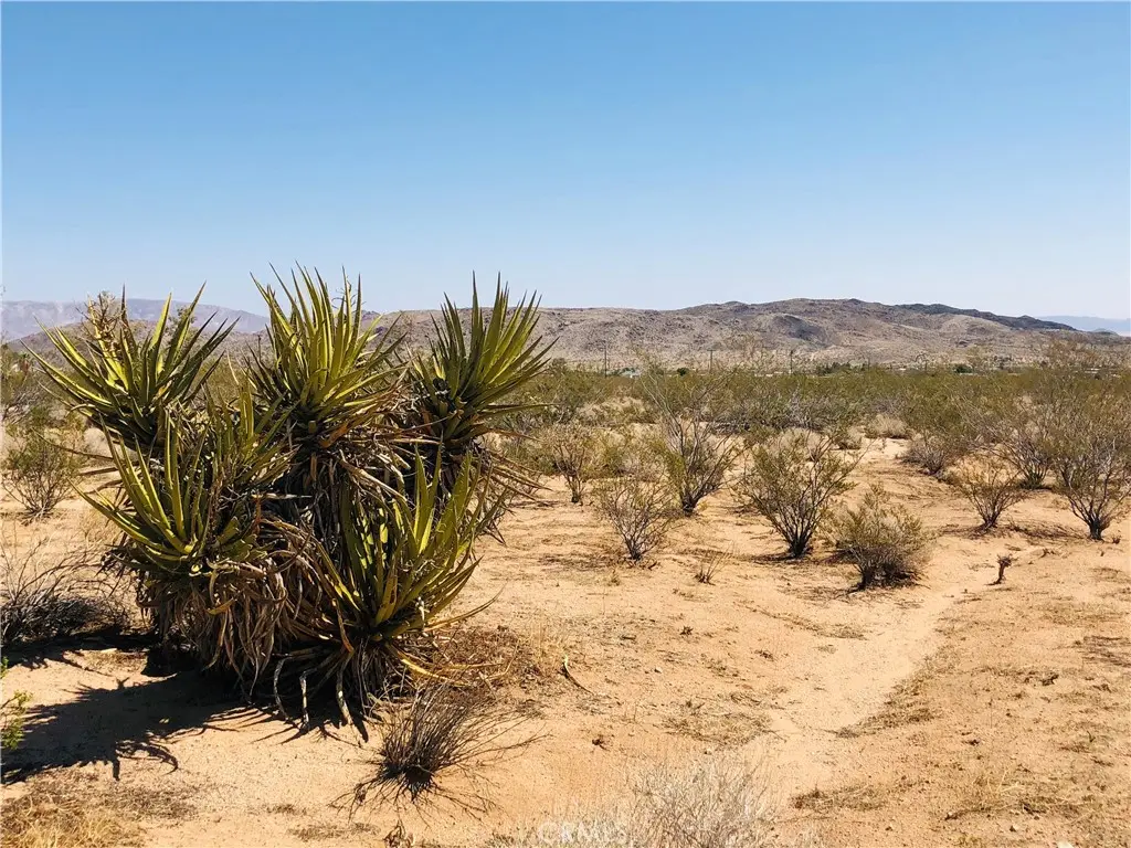 2 Geronimo Trail, Landers, CA — listing photo 1