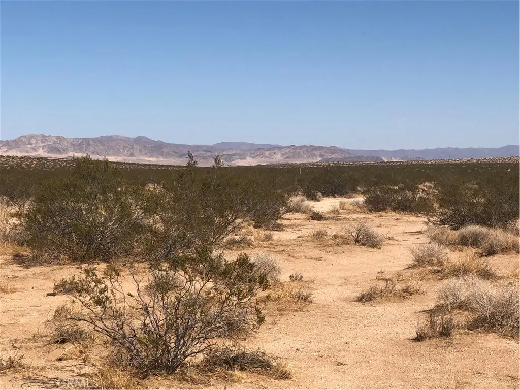 0 Near Daisy Lane, Joshua Tree, CA — listing photo 1