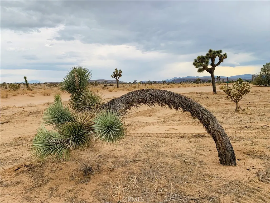 58040 Junipero, Yucca Valley, CA — listing photo 1