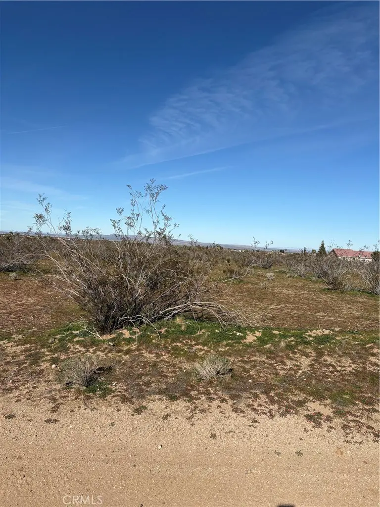 0 Olivine, Phelan, CA — listing photo 1