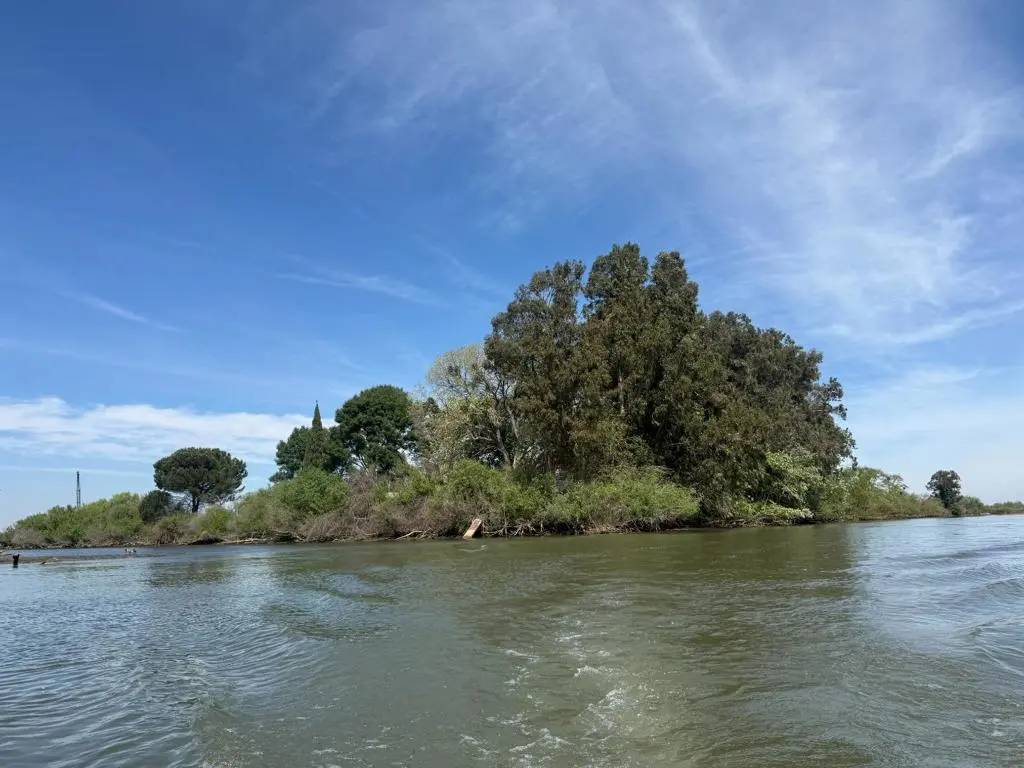 0 Halls Island, Walnut Grove, CA — listing photo 1