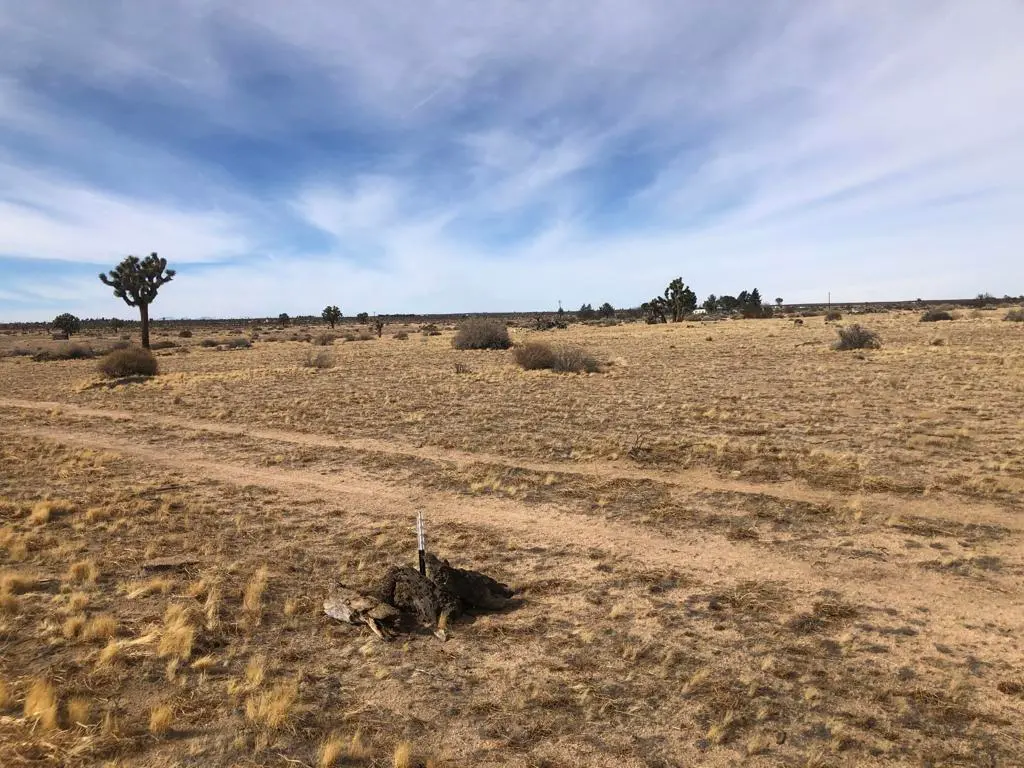 0 E 218th Street, Lancaster, CA — listing photo 1