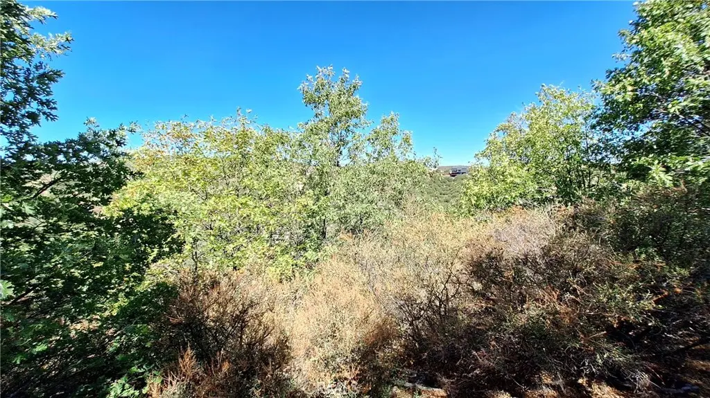 0 Coulter, Cedar Glen, CA — listing photo 1