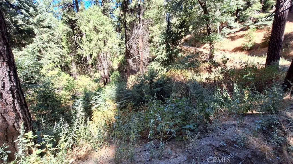 0 El Valle, Cedarpines Park, CA — listing photo 1