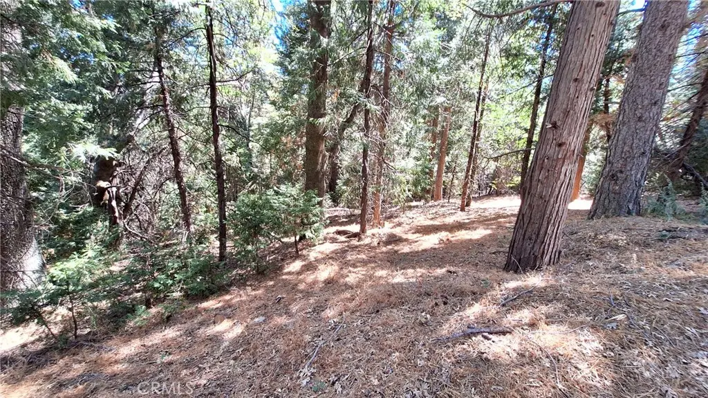 0 Cedar Pines, Cedarpines Park, CA — listing photo 1