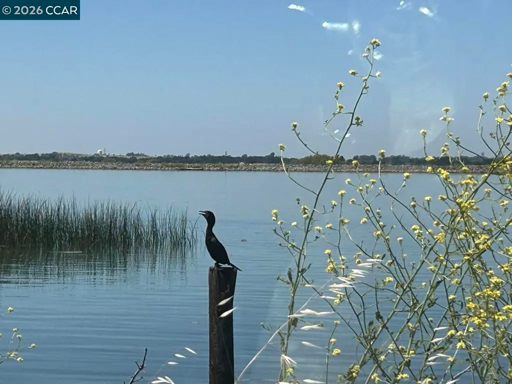 0 Bradford Island Rd, Oakley, CA — listing photo 1
